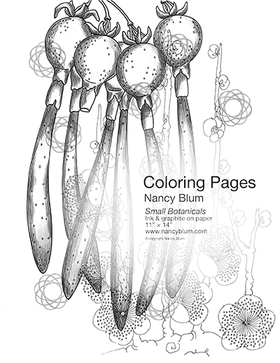 Coloring Pages - Small Botanicals